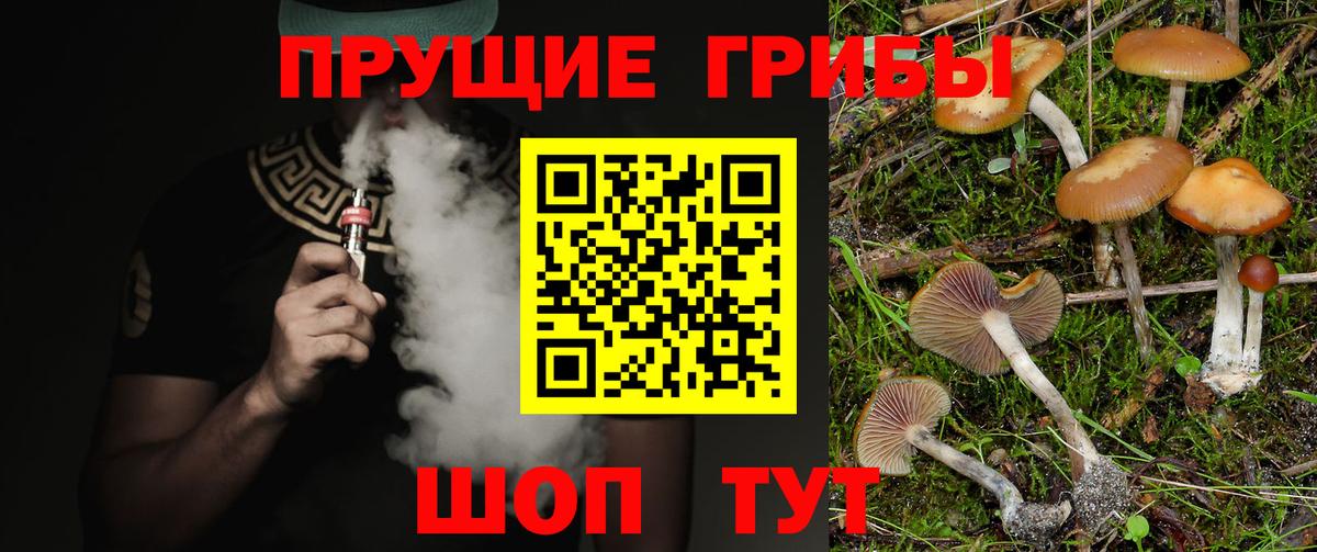 МЕФ Сухой Лог
