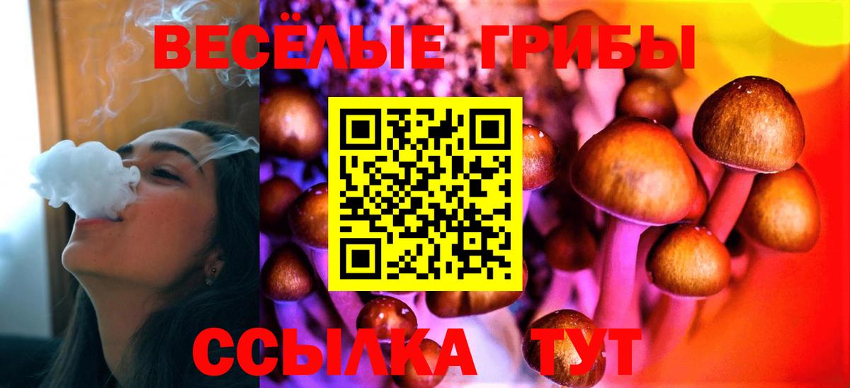 Галлюциногенные грибы мухоморы  закладка  Сухой Лог  Вход с VPN 