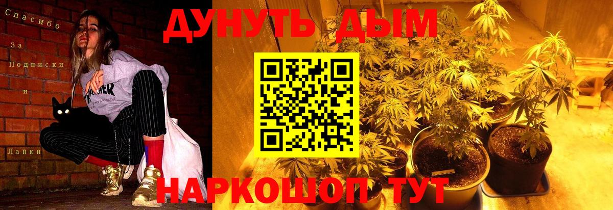 Канабис VHQ  Бошки Шишки гибрид  Сухой Лог  Вход с VPN  МАРИХУАНА THC 21%  Марихуана семена 